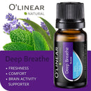 Top 6 Blends Essential Oils Set - Aromatherapy Diffuser Blends Oils for Sleep, Mood, Breathe, Temptation, Feel Good, Anxiety Relief