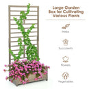 Raised Garden Bed with Trellis for Climbing Plants